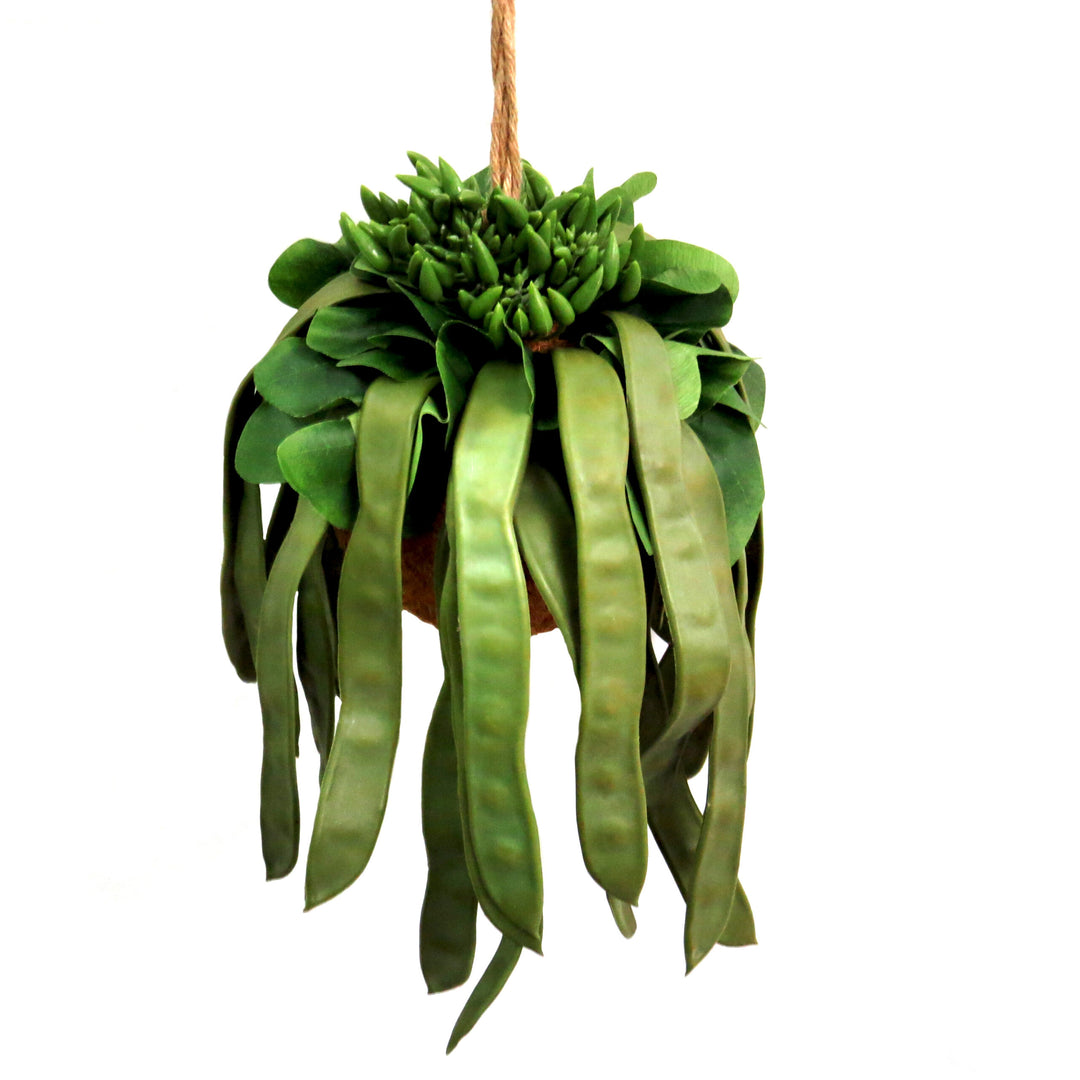 Product Details: Pod Plant Ball
Description
Bring a touch of natural beauty to your space with our lifelike Pod Plant Ball. Made from high-quality materials, this artificial plant requires zero maintenance, making it perfect for those who struggle to keep plants alive.