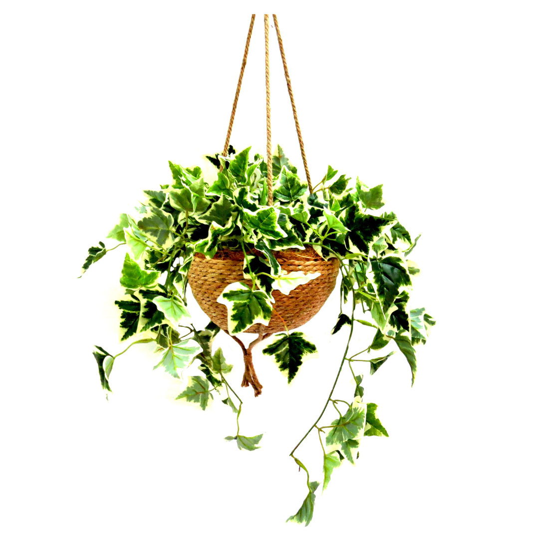 Habitat Hanging Plant Basket
Bring the outdoors in with the stunning Habitat Hanging Plant Basket, featuring a lush, artificial variegated ivy plant. Perfect for adding a touch of natural beauty to any room.