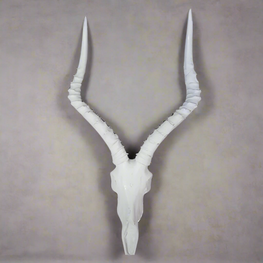 IMPALA Resin Cement Head
Majestic Decorative Piece
Add a touch of wildlife elegance to your space with this stunning IMPALA Resin Cement Head. Crafted with precision and detail, this piece features a beautiful white finish and impressive dimensions.