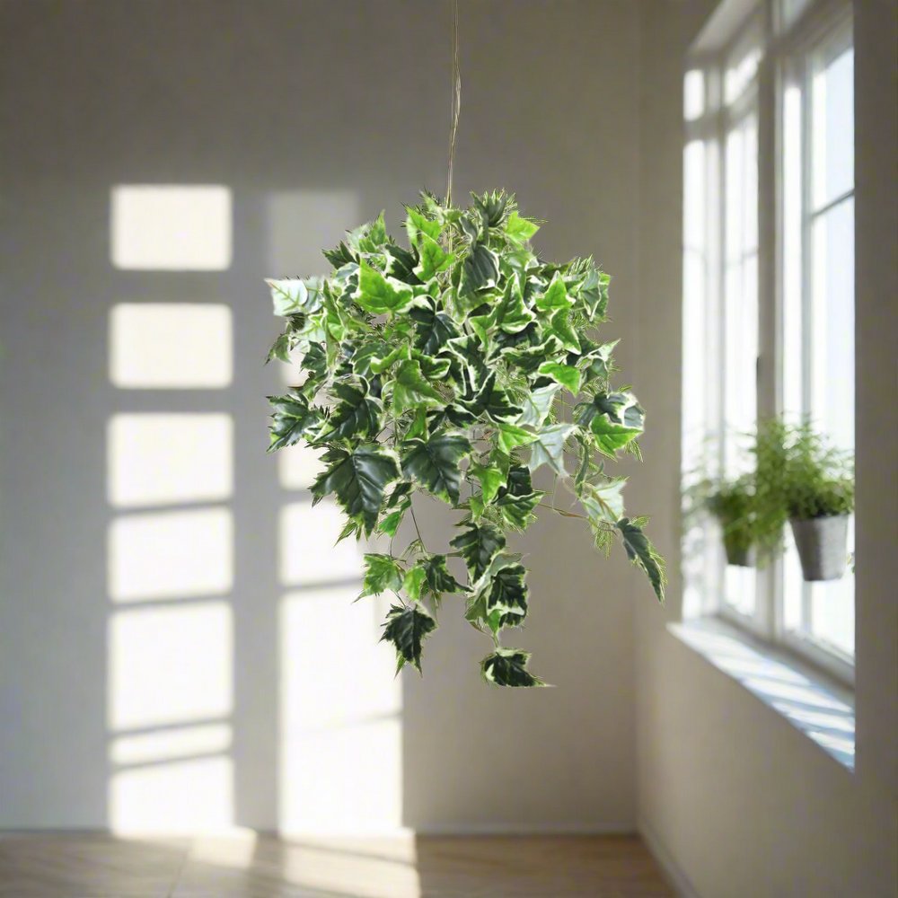 ntroducing Ivy Variegata - The Ultimate Artificial Plant!
Elevate your space with our stunning Ivy Variegata artificial plant, expertly crafted to mimic the real thing! With 12 stems and 143 leaves, this beautiful piece is full, lush, and utterly convincing.
Add Texture and Visual Interest
The variegated leaves of our Ivy Variegata plant add a delightful depth and visual interest to any room. Perfect for hanging or cascading from a pot or basket, this plant is a versatile and stylish addition to your home o