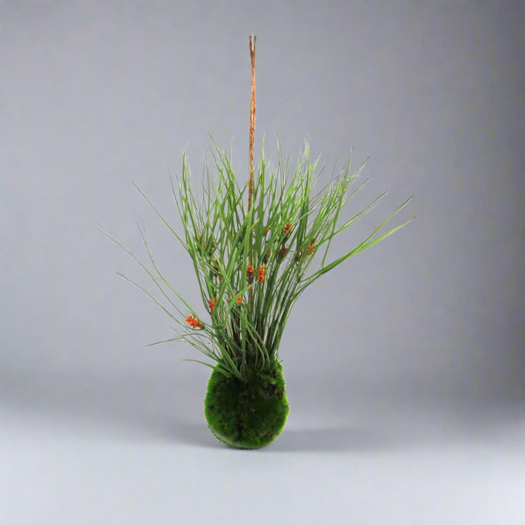 Kraanzkloof Reed Ball by Unique Boys
Bring a touch of nature into your space with our expertly crafted Kraanzkloof Reed Ball, a unique and beautifully designed piece.
Breathtaking Details