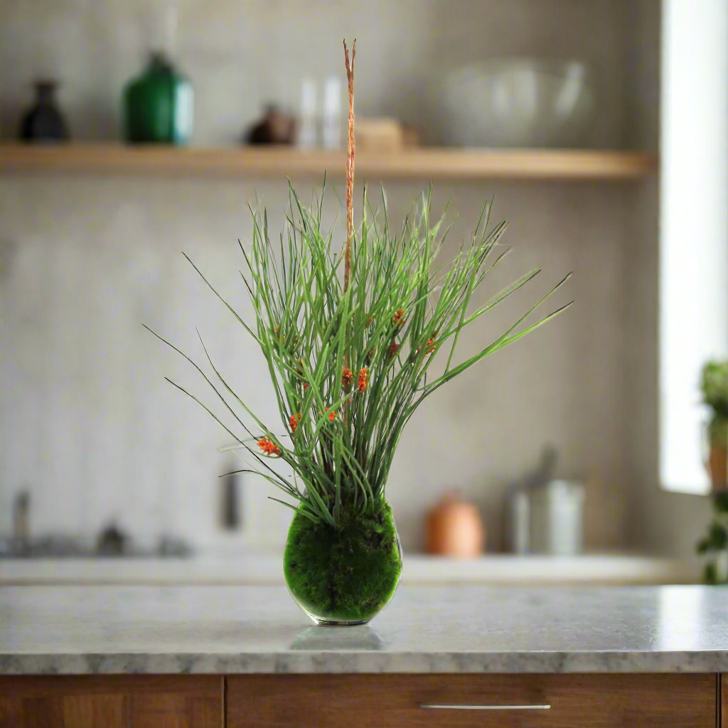 Kraanzkloof Reed Ball by Unique Boys
Bring a touch of nature into your space with our expertly crafted Kraanzkloof Reed Ball, a unique and beautifully designed piece.
Breathtaking Details