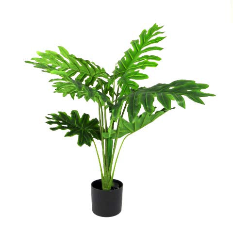 Product Details: Philodendron Heartthrob
Description: A stunning artificial Philodendron plant with a perfect form and beautiful color, thanks to its real touch feature.
Material: Artificial with real touch feature
Size: 90cm height
Features:
Perfect form and stunning color
Real touch feature for a natural look and feel
No watering or maintenance required
Uses:
Adding a touch of elegance to any space
Perfect for indoor decor, offices, or homes
Great for those who want low-maintenance plants

