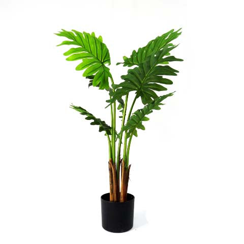Product Details: Philodendron Maywood

Description: A stunning 120cm artificial Philodendron plant with beautifully crafted real touch leaves, perfect for adding a touch of natural elegance to any space.
Material: Artificial with real touch leaves
Size: 120cm height
Features:
Lifelike appearance
Exceptional quality
Real touch leaves
Low-maintenance
Uses:
Adding a touch of natural elegance to indoor spaces
Perfect for homes, offices, or public areas