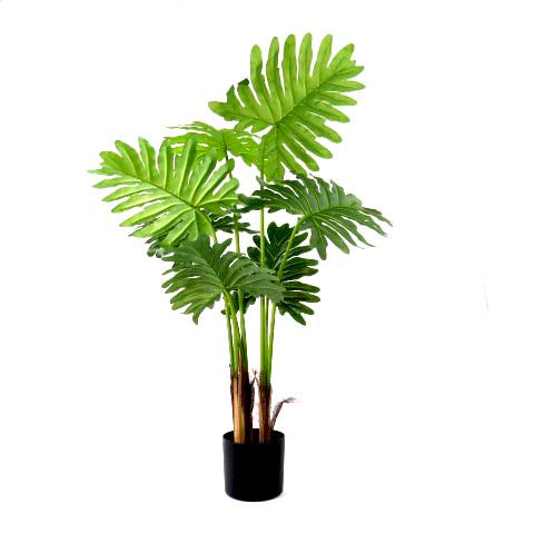 Product Details: Philodendron Speciality
Description: A stunning 90cm artificial Philodendron plant with expertly crafted real touch leaves, adding a touch of natural beauty to any space.
Material: Artificial with real touch leaves
Size: 90cm height
Features:
Exceptional quality and construction
Incredibly lifelike appearance
Real touch leaves
Low-maintenance
Uses:
Adding a touch of natural beauty to indoor spaces
Perfect for homes, offices, or public areas
Great for those who want beautiful plants without 