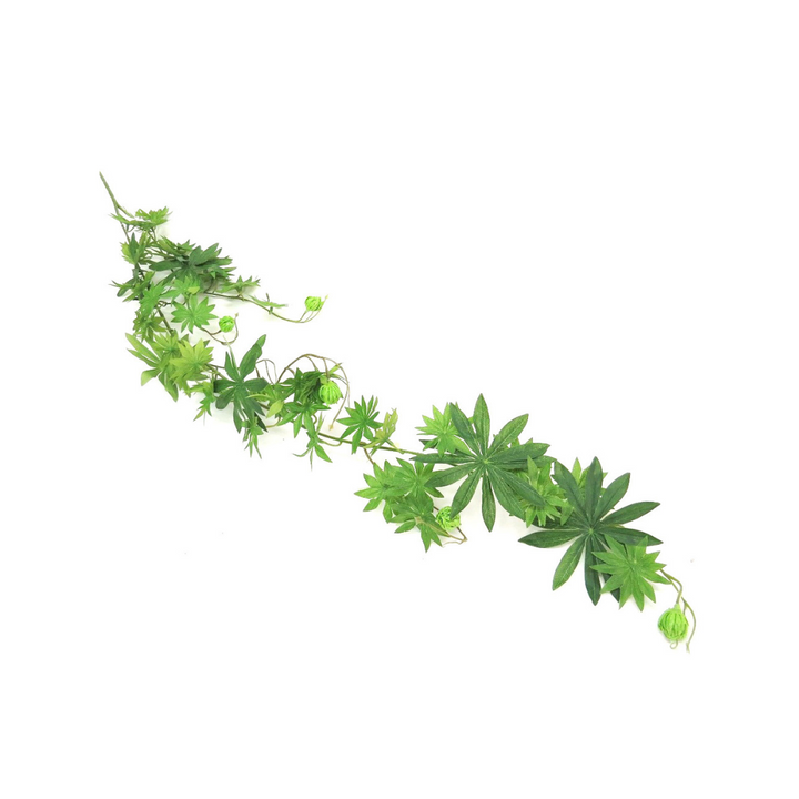 Ladygreenfingers Vine by Unique Boys

Bring the outdoors in with our stunning Ladygreenfingers Vine, a beautiful and organic addition to any space.
Breathtaking Details