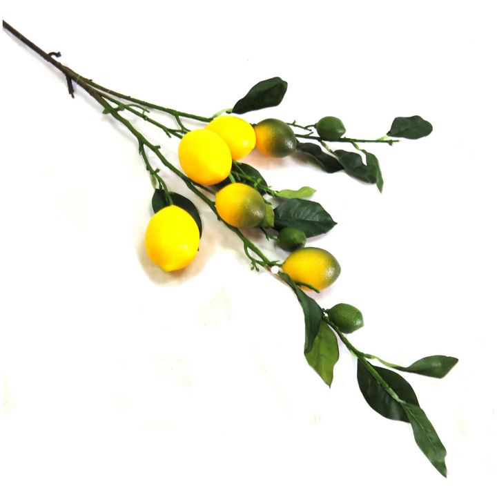 Lemon Branch: Bring the Outdoors In
Add a burst of citrusy freshness to your home decor with our vibrant Lemon Branch. Measuring 75cm in length, this artificial branch is the perfect way to introduce a natural touch to any room.
Botanical Beauty