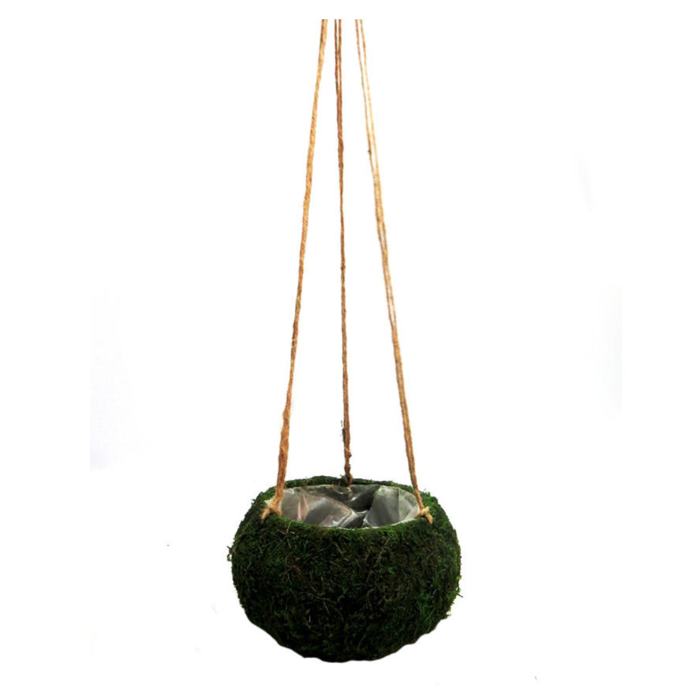 Product Details: Petitmoss Hanging Basket
Description: A charming artificial Petitmoss Hanging Basket, perfect for adding a touch of natural elegance to any garden or indoor space.
Material: Firm, hardened moss construction with plastic lining
Size:
Total length: 74cm
Basket diameter: 15cm
Basket height: 12cm