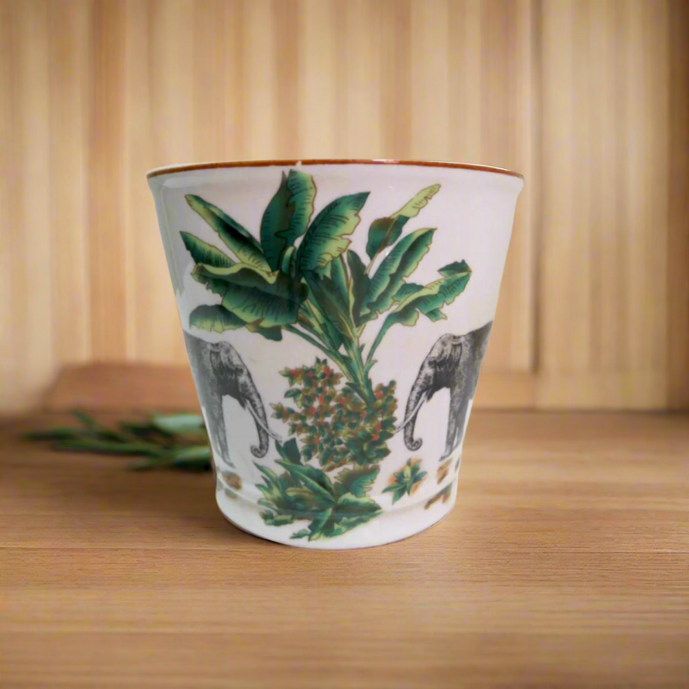 Origins Pot
Tropical Chic Decor Piece
Add a touch of exotic elegance to your home with this stunning Origins Pot. Crafted from high-quality porcelain, it features a vibrant pattern of elephants and palm trees that will transport you to a tropical paradise.
Key Features
Material: High-quality porcelain
Size: 15.5cm (Diameter) x 17cm (Height)
Design: Vibrant pattern of elephants and palm trees
Shop at: Unique Boys