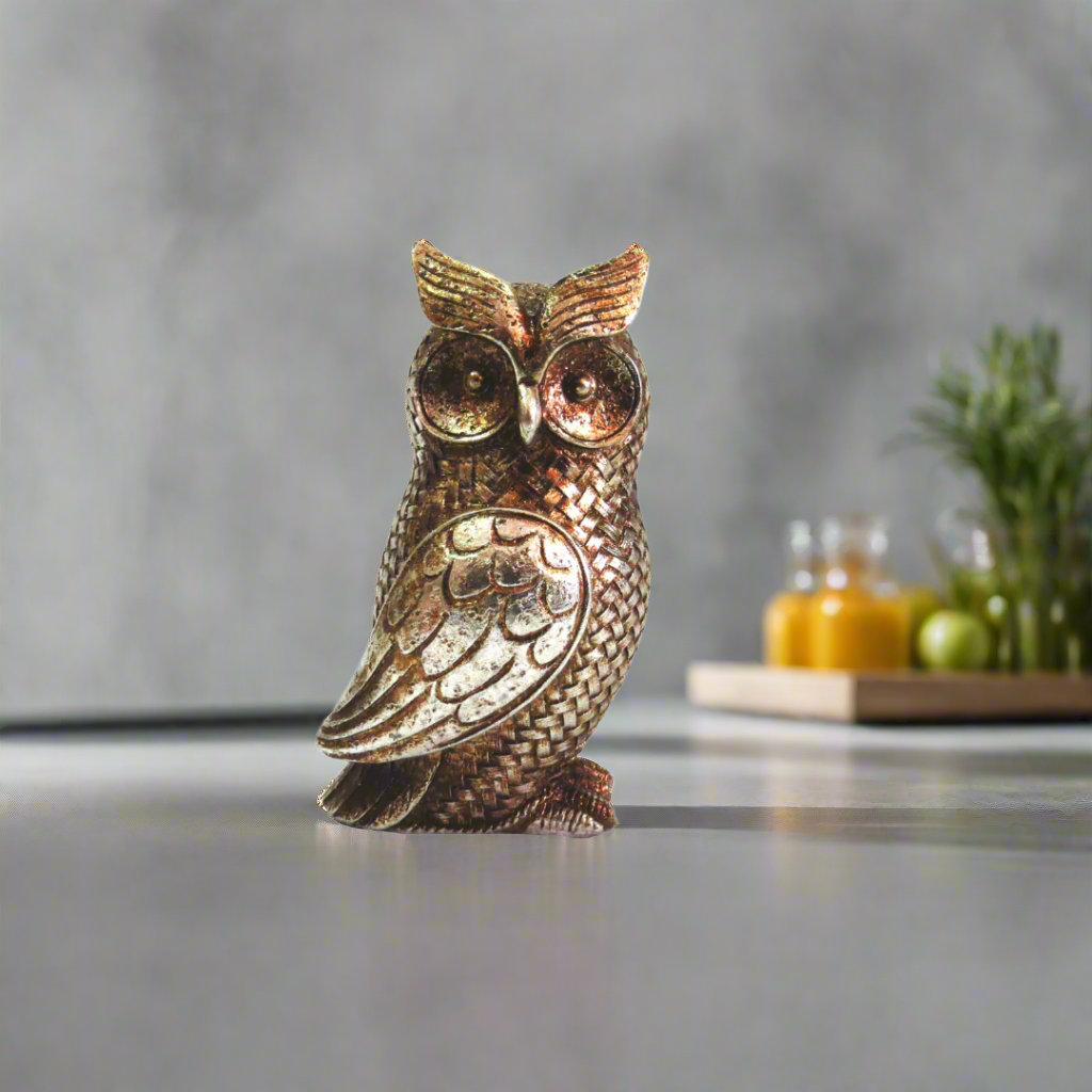 Otis Owl - Elegant Home Decor
Add a touch of sophistication to your home with Otis Owl, a beautifully crafted decorative piece. Made from 200g of goldy silver colored material, this exquisite owl figurine is expertly designed and constructed to blend style and quality seamlessly.