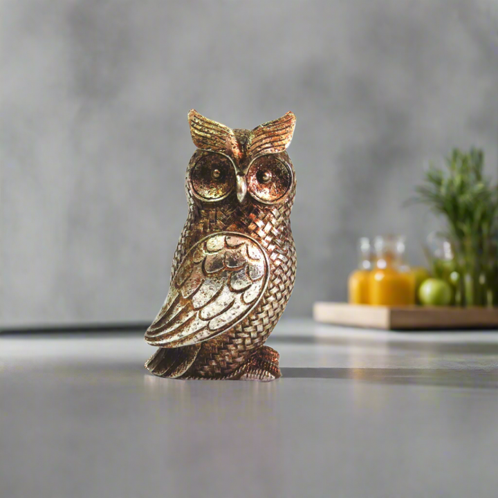 Otis Owl - Elegant Home Decor
Add a touch of sophistication to your home with Otis Owl, a beautifully crafted decorative piece. Made from 200g of goldy silver colored material, this exquisite owl figurine is expertly designed and constructed to blend style and quality seamlessly.