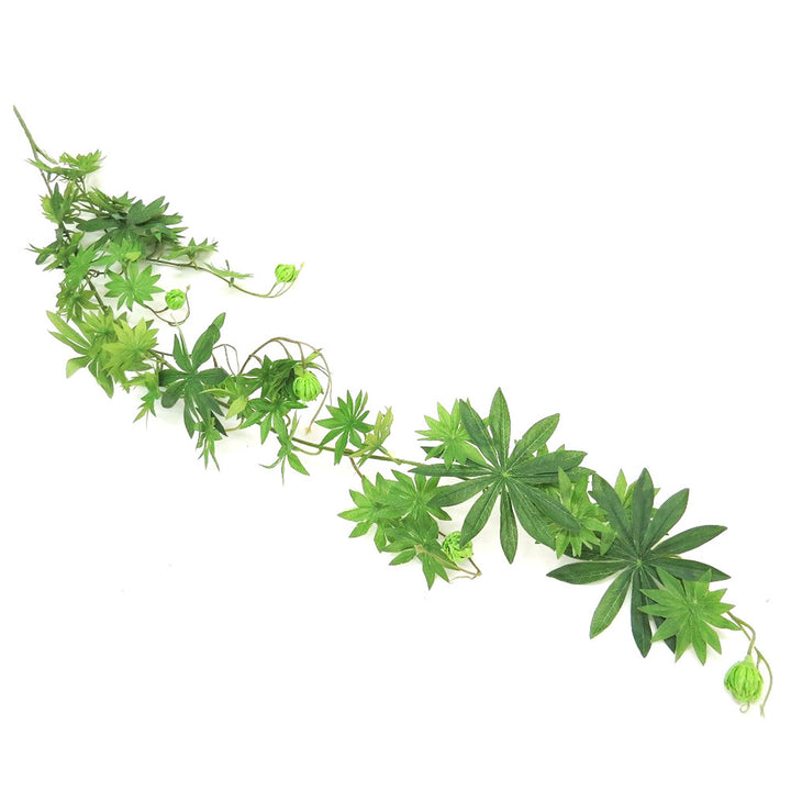 Ladygreenfingers Vine by Unique Boys

Bring the outdoors in with our stunning Ladygreenfingers Vine, a beautiful and organic addition to any space.
Breathtaking Details