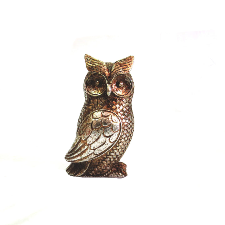 Otis Owl - Elegant Home Decor
Add a touch of sophistication to your home with Otis Owl, a beautifully crafted decorative piece. Made from 200g of goldy silver colored material, this exquisite owl figurine is expertly designed and constructed to blend style and quality seamlessly.