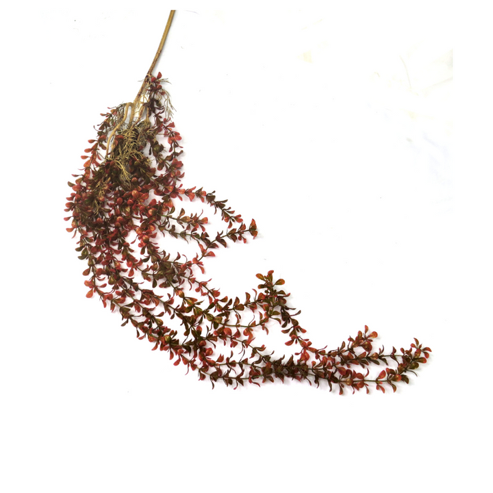 Painted Lady Vine
Bring the outdoors in with the stunning Painted Lady Vine!
Key Features:
Artificial Plant: No maintenance required, perfect for busy lives
Delicate Touch: Adds a touch of natural beauty to any room