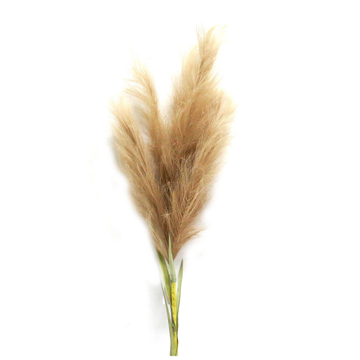 Product Details: Pampas Mega
Description: Experience the majestic beauty of Pampas Mega, a stunning addition to any space with its natural elegance and durability.
Material: High-quality fiber for a realistic look and feel.
Size: 126cm long
Category: Artificial Plants
Uses:
Home decor: Add a touch of natural elegance to your living room, bedroom, or dining room.
Event decor: Perfect for weddings, parties, and other special occasions.
Office decor: Bring some life to your workspace with this beautiful artifi