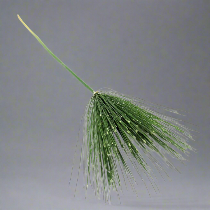 Product Details: Papyrus Stem
Description: Add a contemporary touch to your décor with the Papyrus Stem, boasting a cluster of tiny "seeds" on each thin filament.
Material: Artificial
Size: 75cm long
Features:
Sleek and modern design
Cluster of tiny "seeds" on each filament
Uses:
Home decor: Create a modern and effortless look in your living room, bedroom, or office.
Event decor: Perfect for weddings, parties, and other special occasions.
Store: Unique Boys, offering trendy decor that stays forever in styl