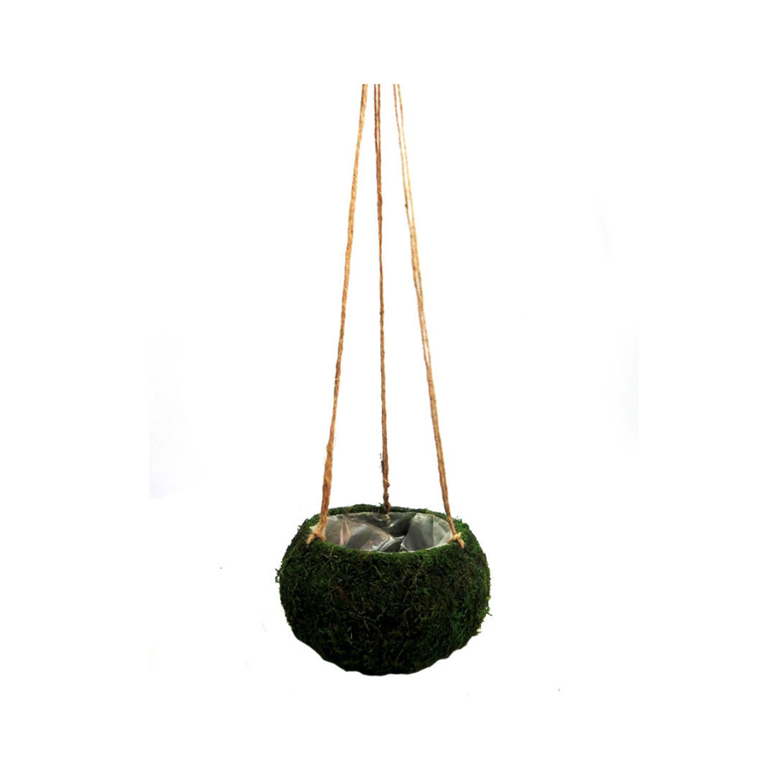 Product Details: Petitmoss Hanging Basket
Description: A charming artificial Petitmoss Hanging Basket, perfect for adding a touch of natural elegance to any garden or indoor space.
Material: Firm, hardened moss construction with plastic lining
Size:
Total length: 74cm
Basket diameter: 15cm
Basket height: 12cm