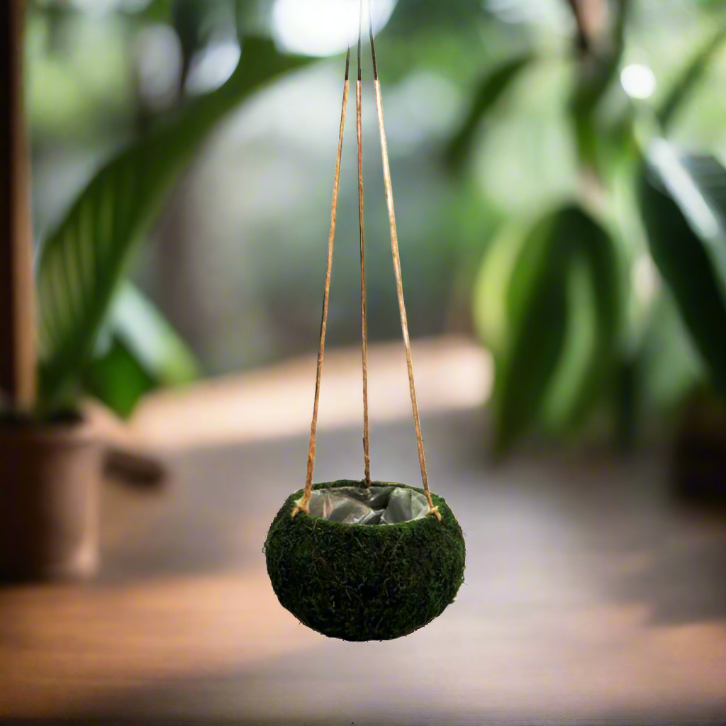 Product Details: Petitmoss Hanging Basket
Description: A charming artificial Petitmoss Hanging Basket, perfect for adding a touch of natural elegance to any garden or indoor space.
Material: Firm, hardened moss construction with plastic lining
Size:
Total length: 74cm
Basket diameter: 15cm
Basket height: 12cm