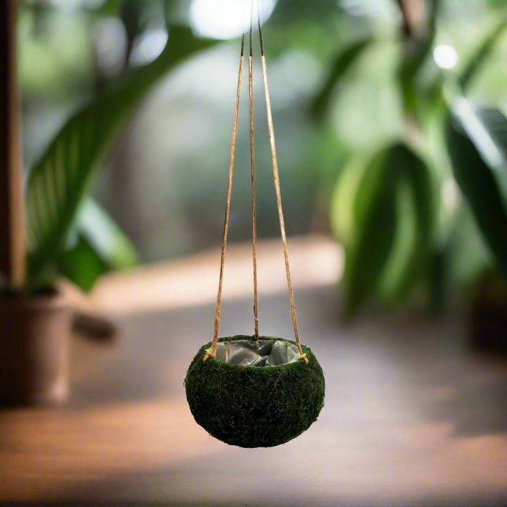 Product Details: Petitmoss Hanging Basket
Description: A charming artificial Petitmoss Hanging Basket, perfect for adding a touch of natural elegance to any garden or indoor space.
Material: Firm, hardened moss construction with plastic lining
Size:
Total length: 74cm
Basket diameter: 15cm
Basket height: 12cm