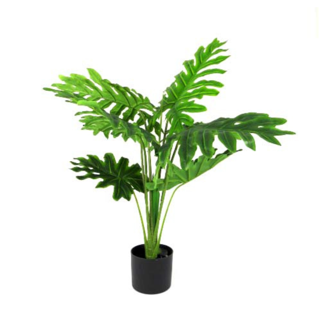 Product Details: Philodendron Heartthrob
Description: A stunning artificial Philodendron plant with a perfect form and beautiful color, thanks to its real touch feature.
Material: Artificial with real touch feature
Size: 90cm height
Features:
Perfect form and stunning color
Real touch feature for a natural look and feel
No watering or maintenance required
Uses:
Adding a touch of elegance to any space
Perfect for indoor decor, offices, or homes
Great for those who want low-maintenance plants
Store: Unique Bo