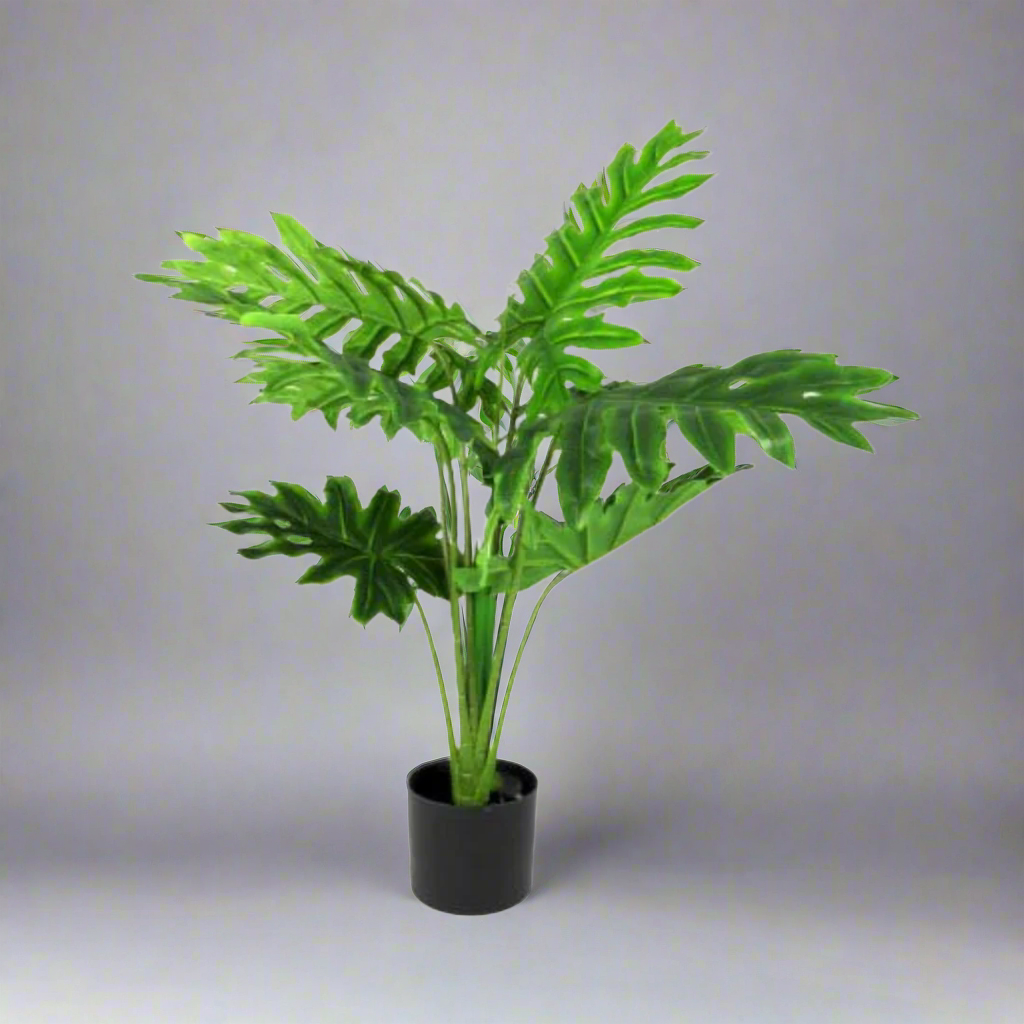 Product Details: Philodendron Heartthrob
Description: A stunning artificial Philodendron plant with a perfect form and beautiful color, thanks to its real touch feature.
Material: Artificial with real touch feature
Size: 90cm height
Features:
Perfect form and stunning color
Real touch feature for a natural look and feel
No watering or maintenance required
Uses:
Adding a touch of elegance to any space
Perfect for indoor decor, offices, or homes
Great for those who want low-maintenance plants
Store: Unique Bo