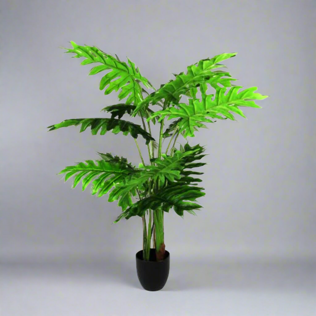 Product Details: Philodendron Ibiza
Description: A stunning 120cm artificial Philodendron plant with a life-like design, perfect for bringing a touch of nature indoors.
Material: Artificial
Size: 120cm height
Features:
Life-like design
Low-maintenance
Long-lasting
Uses:
Adding a touch of nature to indoor spaces
Perfect for homes, offices, or public areas
Great for those who want beautiful plants without the hassle of maintenance
Store: Unique Boys, offering trendy decor that stays forever in style.
Delivery