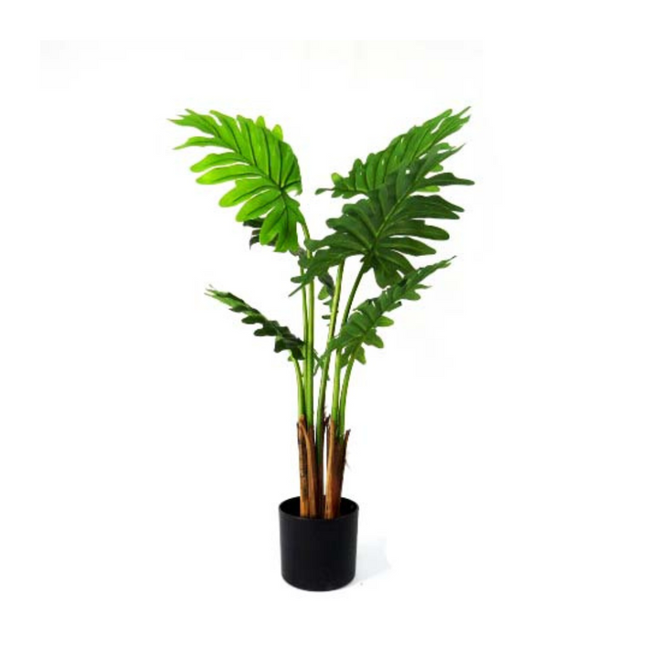 Product Details: Philodendron Maywood

Description: A stunning 120cm artificial Philodendron plant with beautifully crafted real touch leaves, perfect for adding a touch of natural elegance to any space.
Material: Artificial with real touch leaves
Size: 120cm height
Features:
Lifelike appearance
Exceptional quality
Real touch leaves
Low-maintenance
Uses:
Adding a touch of natural elegance to indoor spaces
Perfect for homes, offices, or public areas