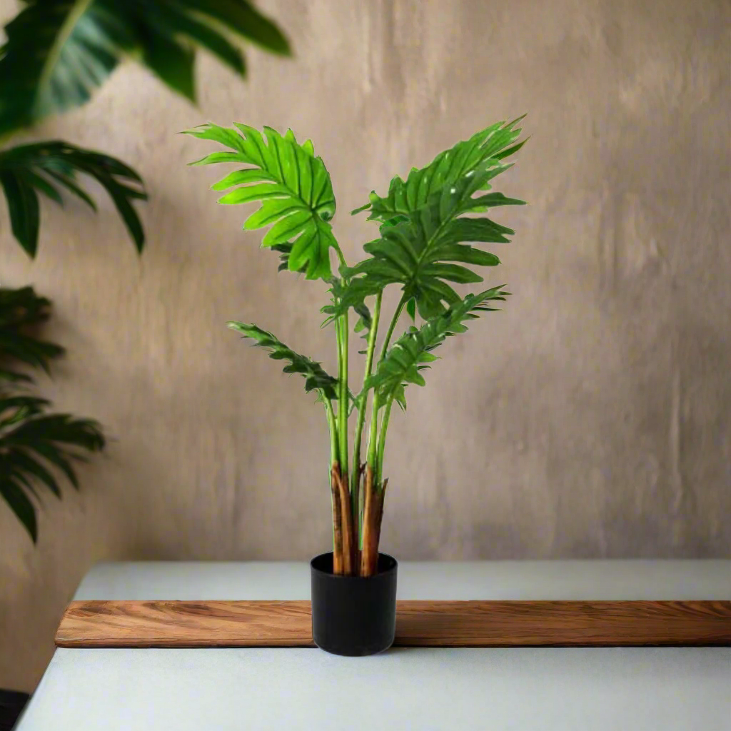 Product Details: Philodendron Maywood

Description: A stunning 120cm artificial Philodendron plant with beautifully crafted real touch leaves, perfect for adding a touch of natural elegance to any space.
Material: Artificial with real touch leaves
Size: 120cm height
Features:
Lifelike appearance
Exceptional quality
Real touch leaves
Low-maintenance
Uses:
Adding a touch of natural elegance to indoor spaces
Perfect for homes, offices, or public areas