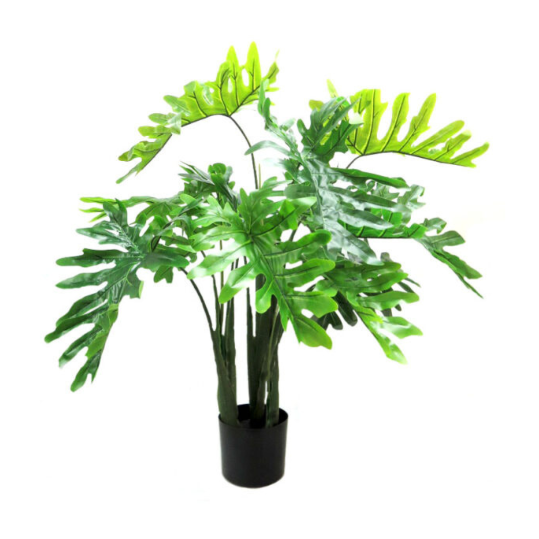 Product Details: Philodendron Potted
Description: A stunning 120cm artificial Philodendron plant with 12 large leaves, adding a touch of natural elegance to any space.
Material: Artificial
Size: 120cm height
Features:
Full and vibrant presence
12 large leaves
Striking fresh green hue
Low-maintenance
Uses:
Adding a touch of natural elegance to indoor spaces
Perfect for homes, offices, or public areas
Great for those who want beautiful plants without the hassle of maintenance