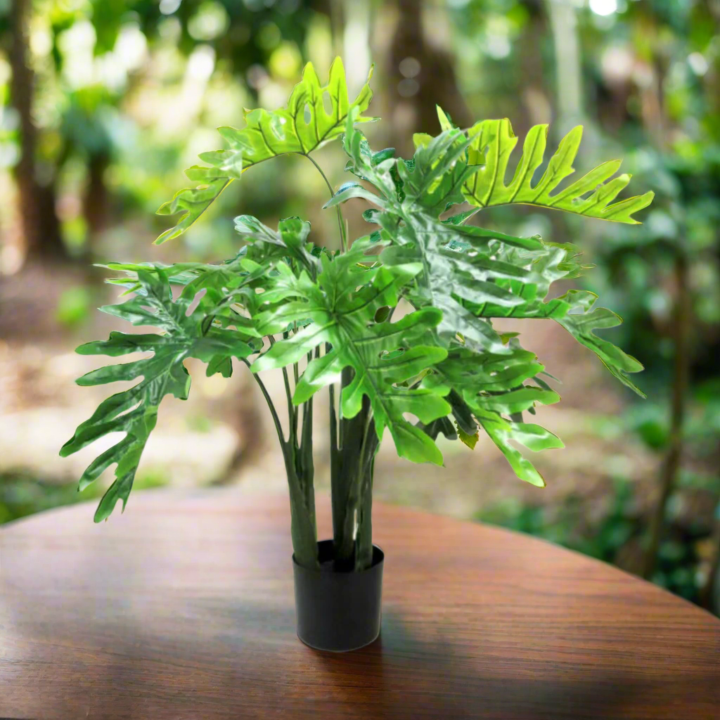 Product Details: Philodendron Potted
Description: A stunning 120cm artificial Philodendron plant with 12 large leaves, adding a touch of natural elegance to any space.
Material: Artificial
Size: 120cm height
Features:
Full and vibrant presence
12 large leaves
Striking fresh green hue
Low-maintenance
Uses:
Adding a touch of natural elegance to indoor spaces
Perfect for homes, offices, or public areas
Great for those who want beautiful plants without the hassle of maintenance