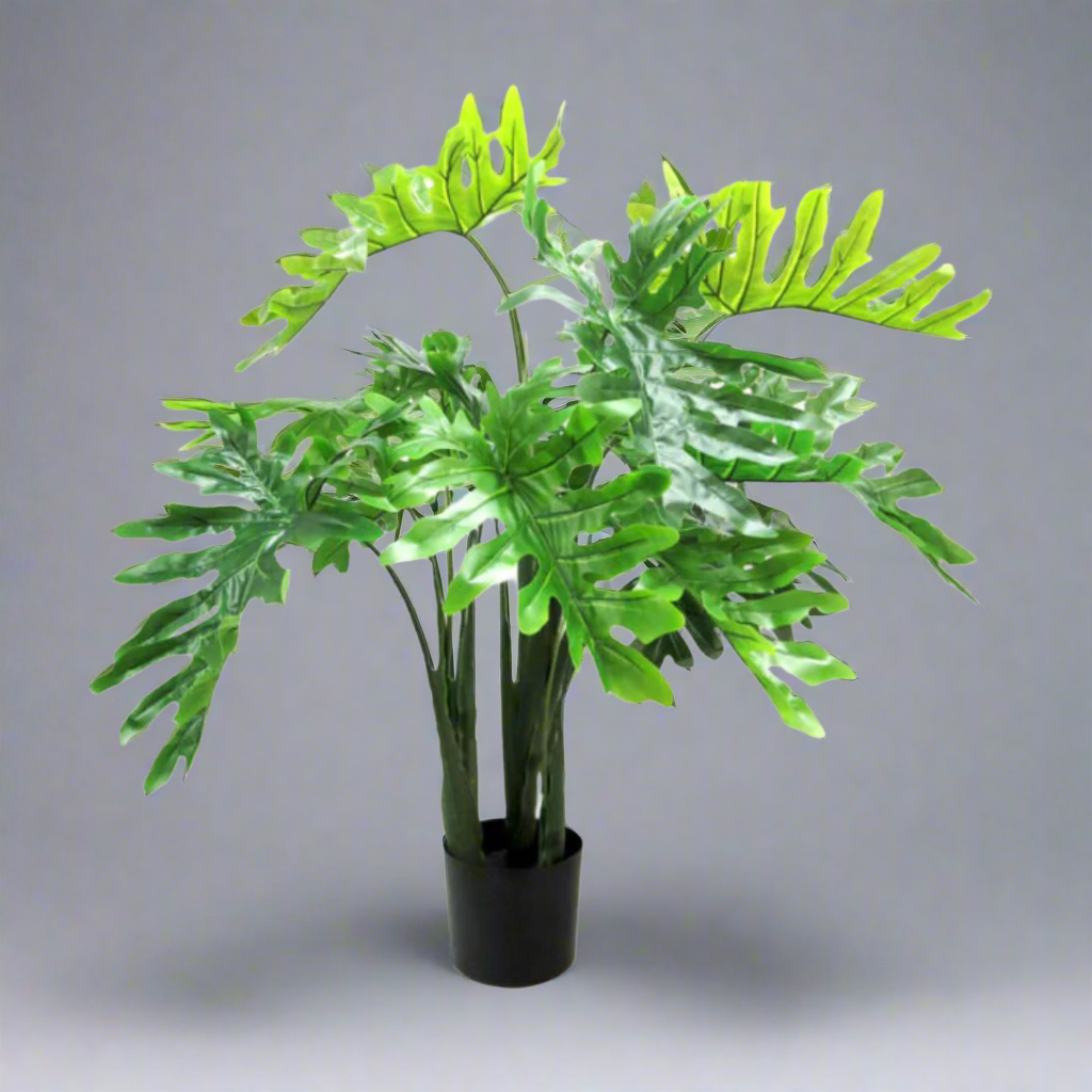 Product Details: Philodendron Potted
Description: A stunning 120cm artificial Philodendron plant with 12 large leaves, adding a touch of natural elegance to any space.
Material: Artificial
Size: 120cm height
Features:
Full and vibrant presence
12 large leaves
Striking fresh green hue
Low-maintenance
Uses:
Adding a touch of natural elegance to indoor spaces
Perfect for homes, offices, or public areas
Great for those who want beautiful plants without the hassle of maintenance
Store: Unique Boys, offering tren