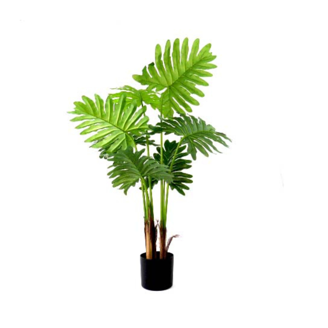Product Details: Philodendron Speciality
Description: A stunning 90cm artificial Philodendron plant with expertly crafted real touch leaves, adding a touch of natural beauty to any space.
Material: Artificial with real touch leaves
Size: 90cm height
Features:
Exceptional quality and construction
Incredibly lifelike appearance
Real touch leaves
Low-maintenance
Uses:
Adding a touch of natural beauty to indoor spaces
Perfect for homes, offices, or public areas
Great for those who want beautiful plants without 