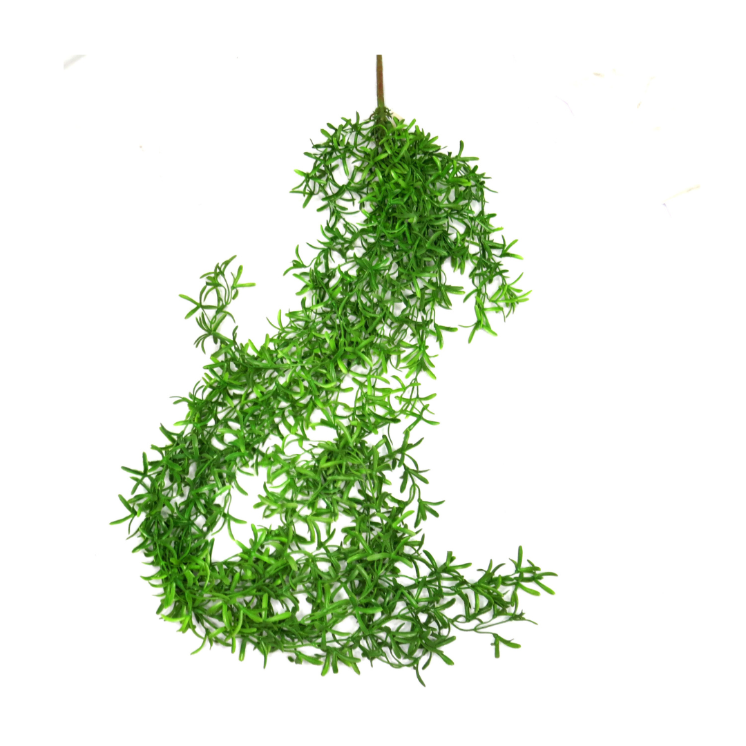 Pin Wheel Vine
Elevate your space with the stunning Pin Wheel Vine!
Key Features:
Generous Length: 110cm long, providing ample coverage and a visually appealing display
Artificial Plant: No maintenance required, perfect for busy lives
Versatile: Suitable for indoor or outdoor use, enhancing gardens or living spaces