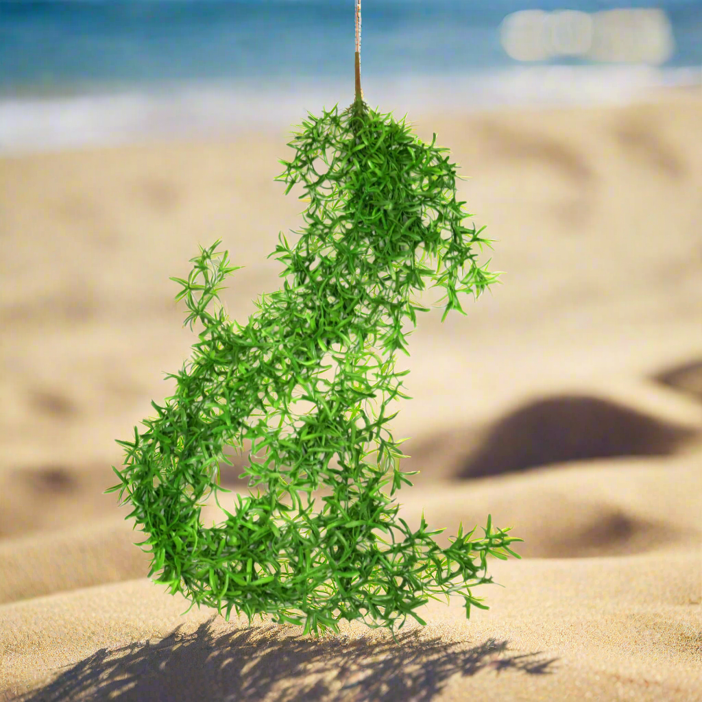 Pin Wheel Vine
Elevate your space with the stunning Pin Wheel Vine!
Key Features:
Generous Length: 110cm long, providing ample coverage and a visually appealing display
Artificial Plant: No maintenance required, perfect for busy lives
Versatile: Suitable for indoor or outdoor use, enhancing gardens or living spaces