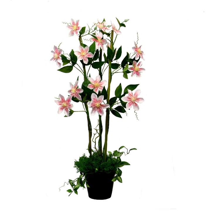 Product Details: Pink Clematis Perfection
Description: A stunning artificial Pink Clematis plant with 15 flowers and 66 leaves, adding an elegant touch to any decor.
Material: Artificial
Size: 76cm height x 48cm width
Features:
15 beautiful flowers
66 lush green leaves
Bamboo bower with twining ferns and stripey green leaves
Uses:
Adding a touch of elegance to any space
Perfect for indoor decor, offices, or homes
Great for those who want low-maintenance plants
Store: Unique Boys, offering trendy decor that 