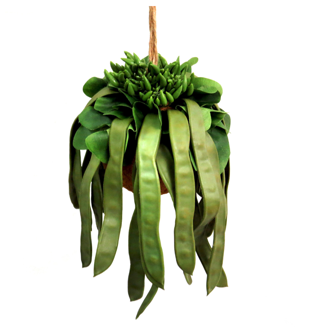 Product Details: Pod Plant Ball
Description
Bring a touch of natural beauty to your space with our lifelike Pod Plant Ball. Made from high-quality materials, this artificial plant requires zero maintenance, making it perfect for those who struggle to keep plants alive.