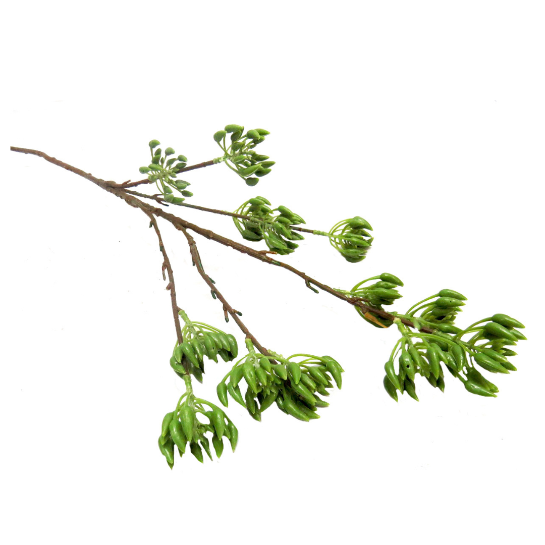 Product Details: Pollen Nation Plant
Description
Elevate your space with the stunning Pollen Nation Plant, featuring 13 blooming green "seedheads" on multiple stems. Standing 90cm tall, this artificial greenery plant brings a touch of natural beauty indoors and pairs perfectly with mixed green leaves for a breathtaking display.