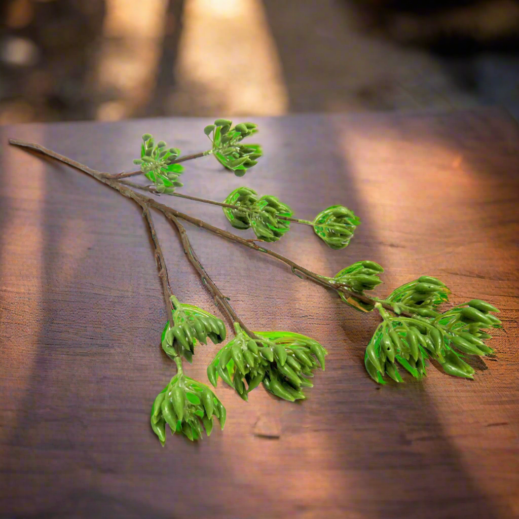 Product Details: Pollen Nation Plant
Description
Elevate your space with the stunning Pollen Nation Plant, featuring 13 blooming green "seedheads" on multiple stems. Standing 90cm tall, this artificial greenery plant brings a touch of natural beauty indoors and pairs perfectly with mixed green leaves for a breathtaking display.