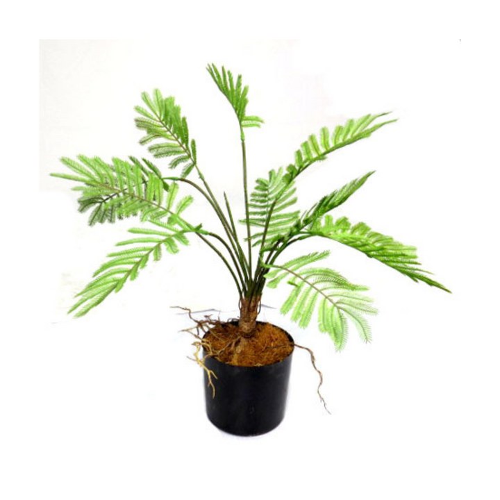 Introducing the Potted Fern
Add a Touch of Natural Elegance to Your Space
Elevate your indoor space with our stunning Potted Fern, boasting a 49cm height and 50cm width. This versatile and striking artificial plant is perfect for adding a touch of greenery to any room.