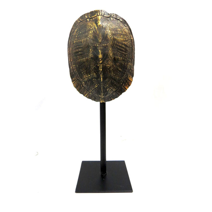 Apollo: Elegant Tortoise Shell Decor
Elevate your home with the exquisite Apollo, expertly crafted with a stunning tortoise shell design.
Product Features:
Double-sided design for versatile display
Polished look from all angles
Perfect size for any space: 16cm x 12cm x 39cm