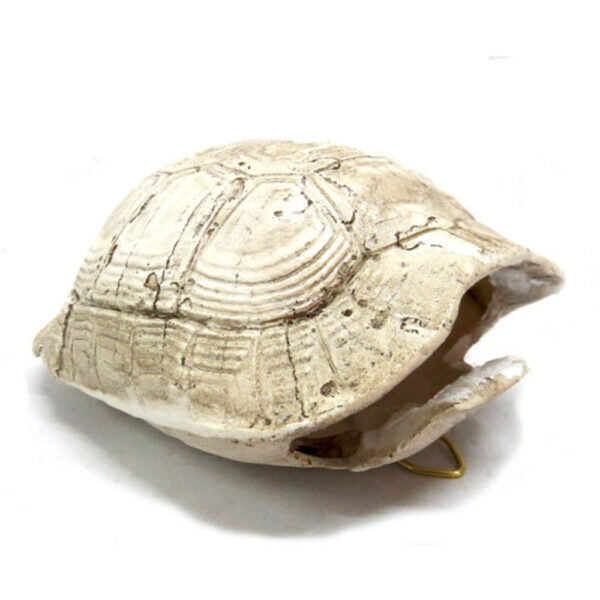 
Introducing the Slobro Turtle
Versatile and Stylish Decor for Your Home
Add a touch of coastal charm to your space with our stunning Slobro Turtle. Measuring 10cm x 6cm x 13cm, this unique "bleached" double-sided tortoise shell can be used as a hanging decoration or a stylish table centerpiece.
Perfect for:
Adding a touch of coastal elegance to your home or office decor
Creating a unique and eye-catching conversation piece
Elevating your space with a versatile and stylish decorative item
Key Features:
Uniq