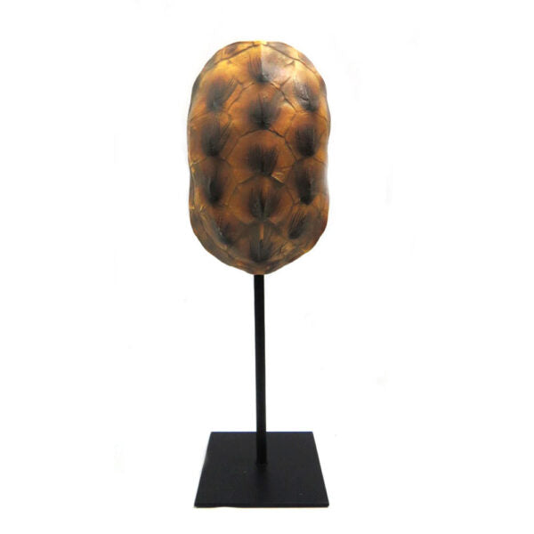 Introducing Spot On
Elegant Tortoise Figurine for Your Home
Add a touch of elegance to your space with our beautifully crafted Spot On tortoise figurine. Measuring 11.5cm x 11cm x 34cm, this stunning double-sided piece boasts a sturdy stand and hand-painted design, expertly crafted with attention to detail.