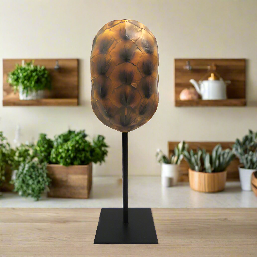 Introducing Spot On
Elegant Tortoise Figurine for Your Home
Add a touch of elegance to your space with our beautifully crafted Spot On tortoise figurine. Measuring 11.5cm x 11cm x 34cm, this stunning double-sided piece boasts a sturdy stand and hand-painted design, expertly crafted with attention to detail.