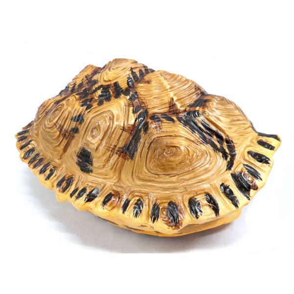 Introducing the Shyman Tortoise
Elegant and Versatile Decor for Your Home
Add a touch of elegance to your space with our beautifully crafted Shyman Tortoise. Measuring 21cm x 14cm x 28cm, this chunky, double-sided decor piece offers versatile display options - hang it up or use it as a stunning table centerpiece.