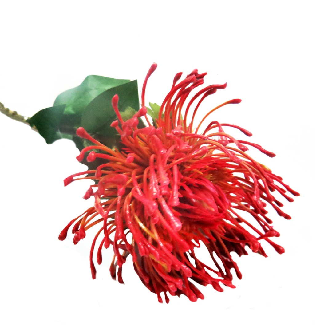 Red Pincushion Artificial Plant
This Red Pincushion is a spectacular new flower that will add a bold touch to any arrangement. With a diameter of 11cm, the pincushion protea boasts generous proportions, standing at 73cm tall. Its flame reddish shades create a beautifully shaded composition, perfect for adding a pop of color to your floral displays.