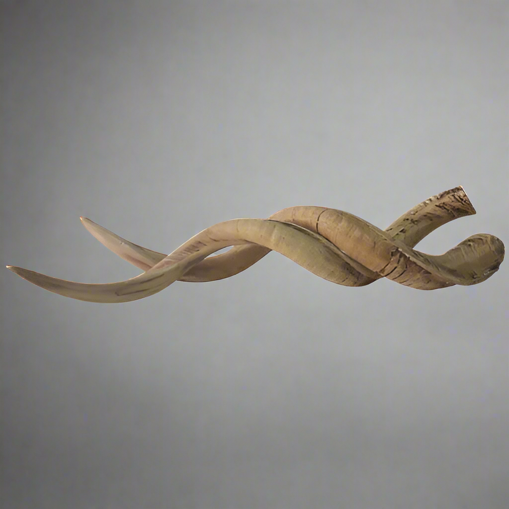 Resin Cement Kudu Horns
Majestic Decorative Piece
Add a touch of wild elegance to your home with these stunning Resin Cement Kudu Horns. With their rich Wild Honey colour, these horns make a striking decorative piece that's perfect for your coffee table or mantle.
