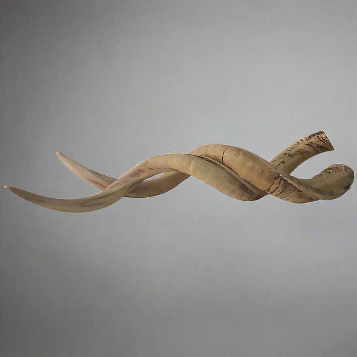 Resin Cement Kudu Horns
Majestic Decorative Piece
Add a touch of wild elegance to your home with these stunning Resin Cement Kudu Horns. With their rich Wild Honey colour, these horns make a striking decorative piece that's perfect for your coffee table or mantle.