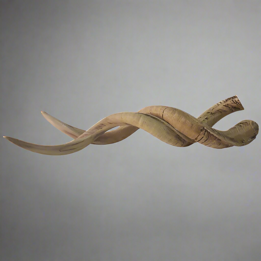 Resin Cement Kudu Horns
Majestic Decorative Piece
Add a touch of wild elegance to your home with these stunning Resin Cement Kudu Horns. With their rich Wild Honey colour, these horns make a striking decorative piece that's perfect for your coffee table or mantle.