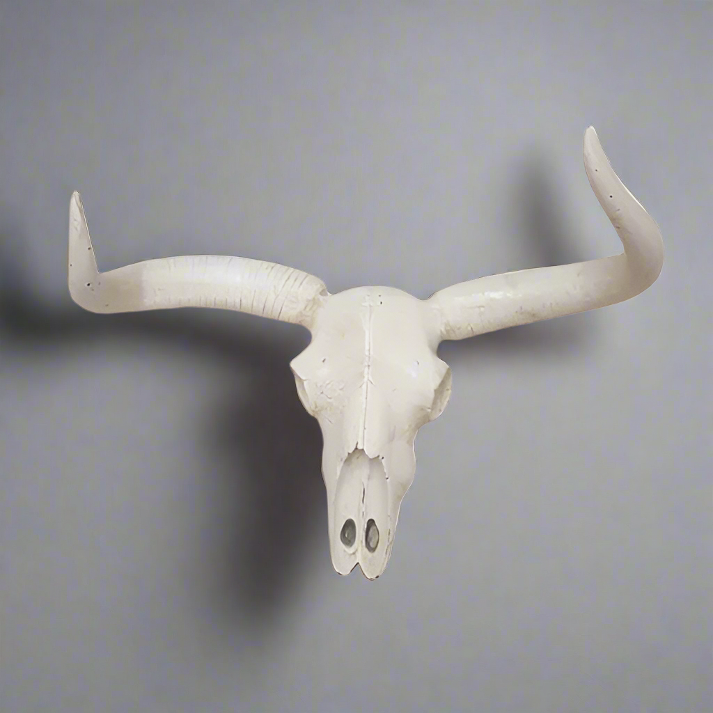 Resin Cement Skull Head
A Striking Decor Piece
Add an edgy touch to your space with this unique Resin Cement Skull Head. Crafted from high-quality resin cement, this piece boasts a striking design that's sure to grab attention. Its sleek white finish makes it a versatile addition to any room.