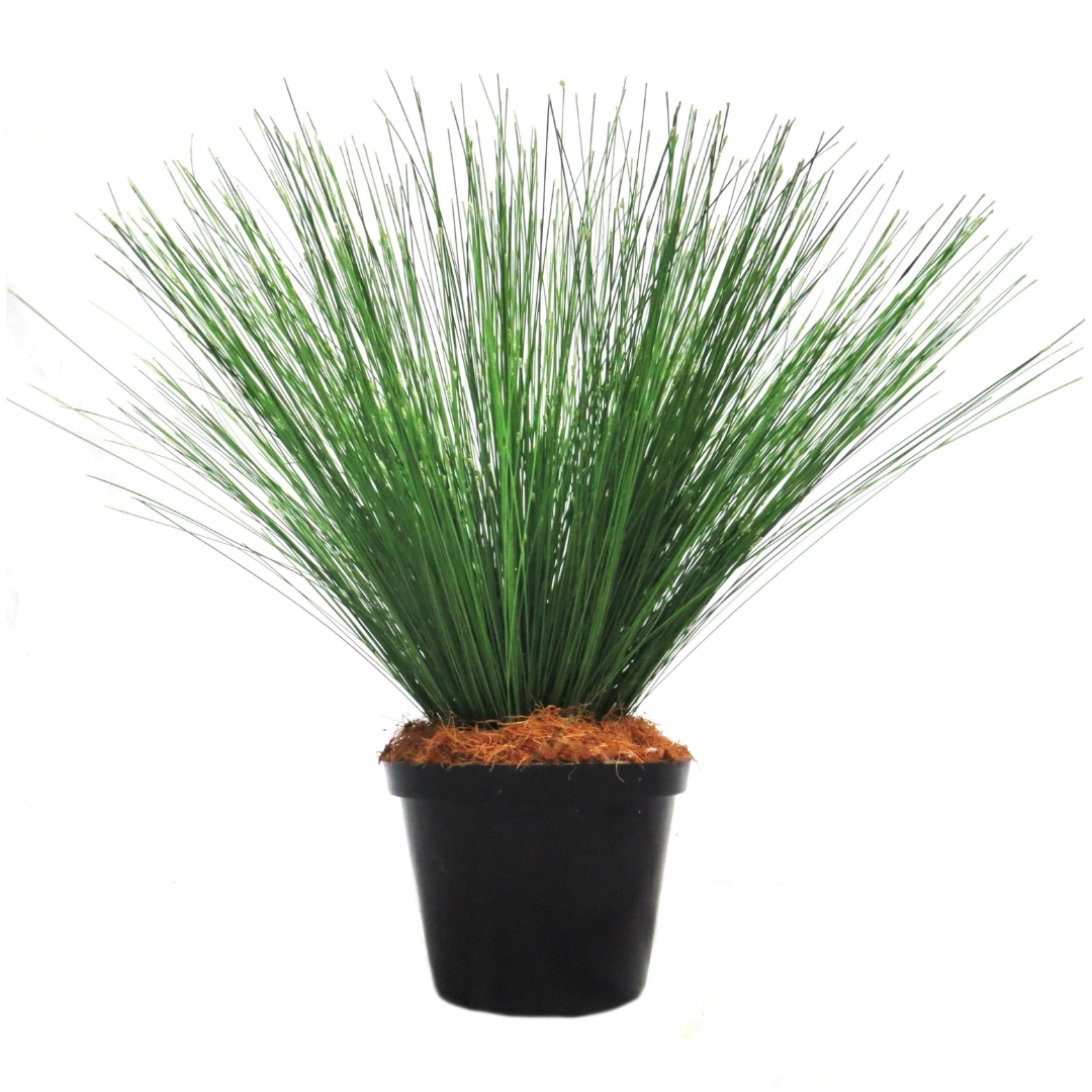 River Reeddance Plant
Description
Bring the serenity of nature indoors with the breathtaking River Reeddance Plant. This artificial plant boasts thousands of delicate, fluffy seed heads and rich green foliage, creating a stunning addition to any room.